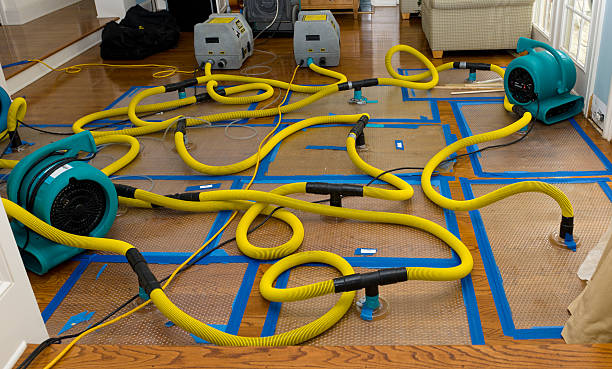 Professional Basement Flood Cleanup technician working in Jbsa Lackland, TX
